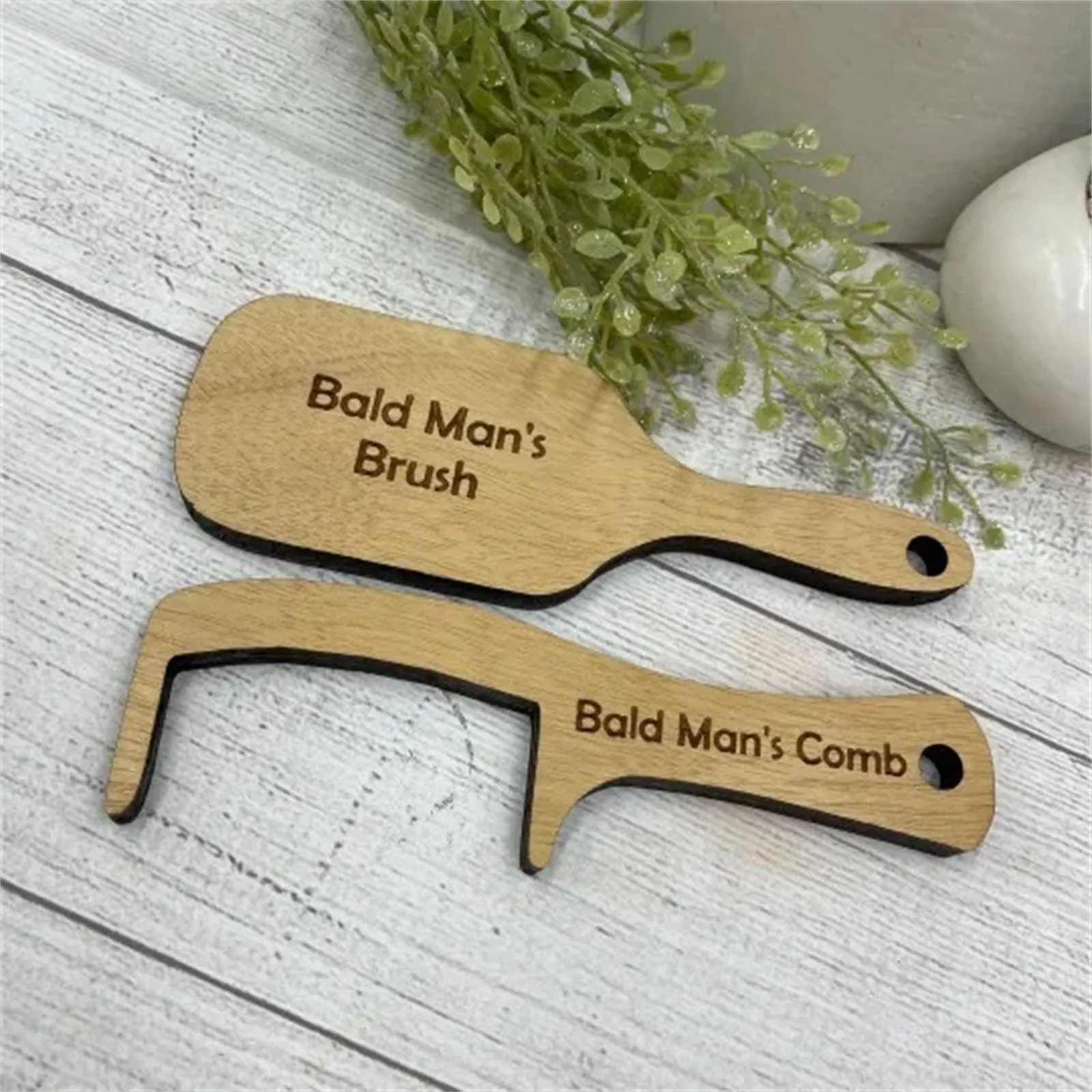 Kaalhoofdige Mannen Glansborst - Woodworking Design Software recensie en prijs